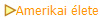 Amerikai élete