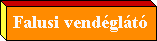 Falusi vendéglátó