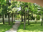 A nyári Csermajor