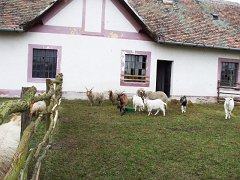 b_tangazdasag05