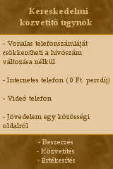Kereskedelmi közvetítő ügynök