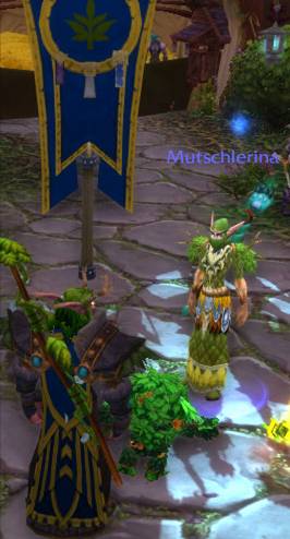 WoWScrnShot_060514_223243