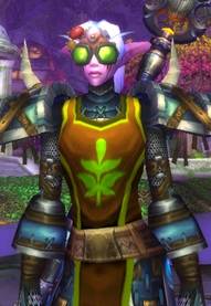 WoWScrnShot_011611_191815