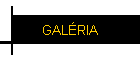 GALRIA