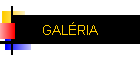GALRIA