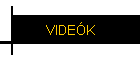 VIDEK
