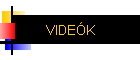 VIDEK