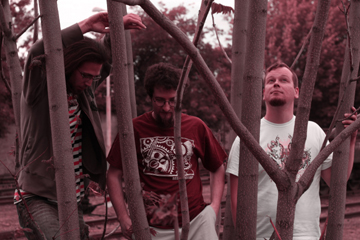 The Grey Eminence