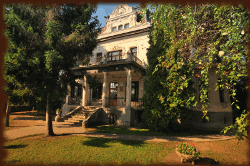 Vujicsics AMI - Szentendre