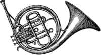 krt