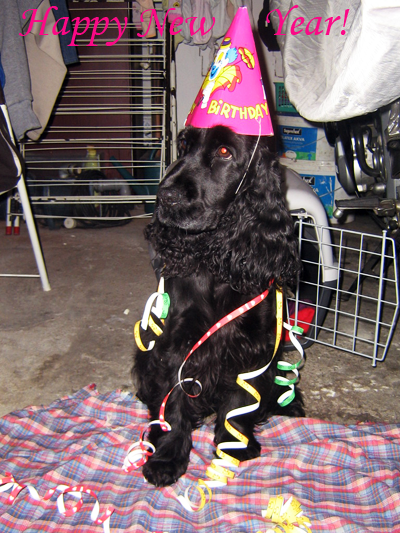 Happy New Year!