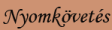 Nyomk&ouml;vet&eacute;s