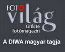 Fotvilg