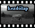 kezdlap