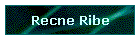 Recne Ribe