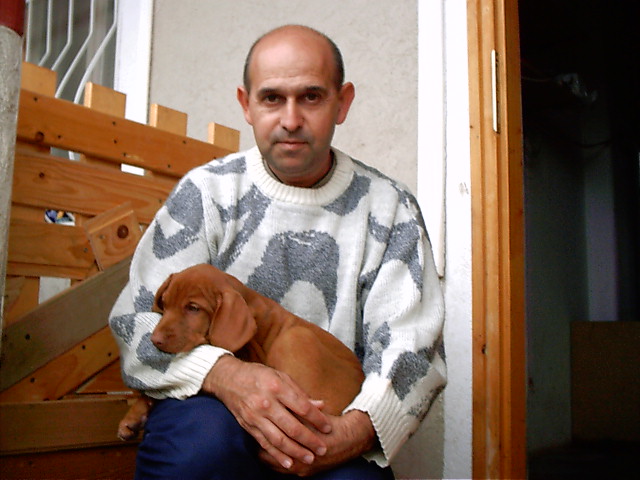 Péterfi István