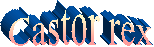 Castor rex 