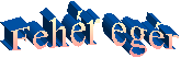 Fehr egr 
