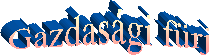 Gazdasgi frj 