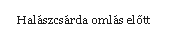 Szvegdoboz: Halszcsrda omls előtt