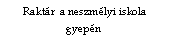 Szvegdoboz:  Raktr  a neszmlyi iskola gyepn