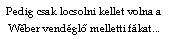Szvegdoboz: Pedig csak locsolni kellet volna a Wber vendglő melletti fkat...