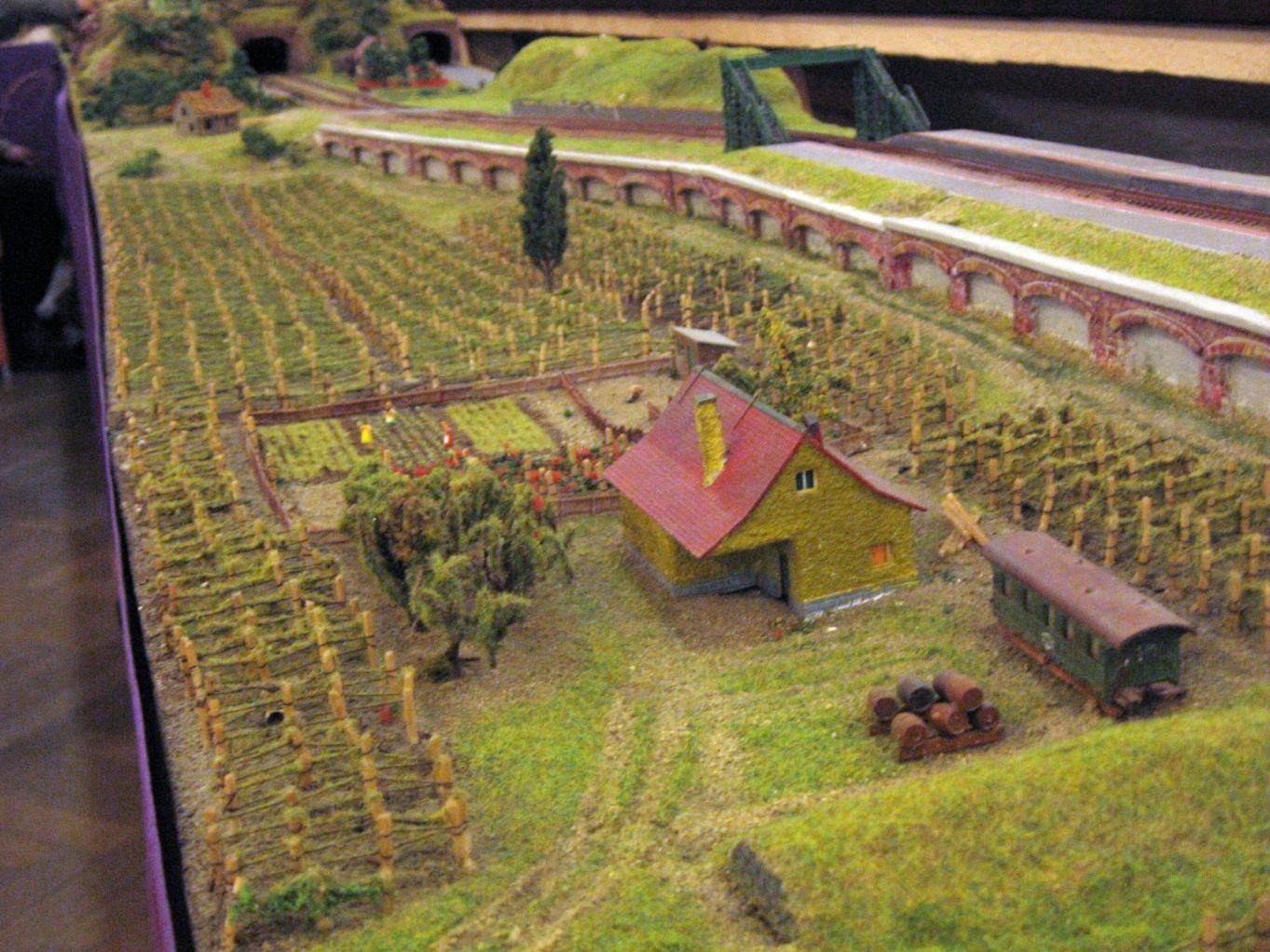 szolosmodul.JPG
