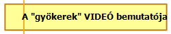 A "gykerek" VIDE bemutatja