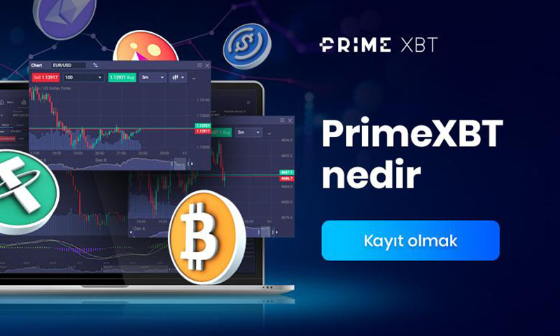 Discover the Potential of Trading with PrimeXBT Website