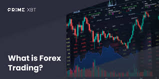 Explore the PrimeXBT Website Your Gateway to Crypto Trading