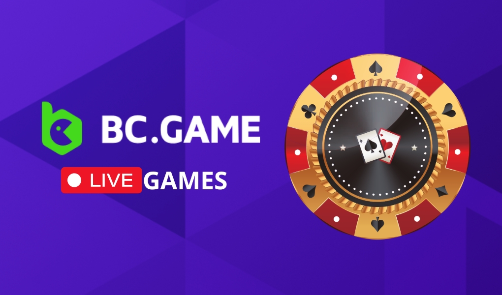 Exploring BC.Game Contacts BR Your Gateway to Support and Community