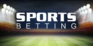 Experience the Thrill of Gaming Vivi’s platform makes it easy to bet on sports and play casino games