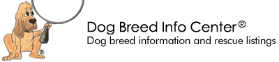 Dog Breed Info