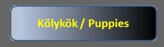 Kölykök / Puppies