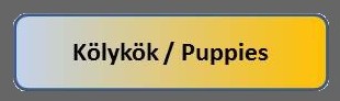 Kölykök / Puppies