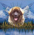 Angel Kingdom Kennel