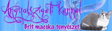 Angyalszigeti kennel banner