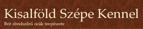 Kisalfld Szpe Kennel