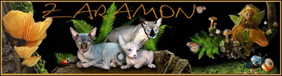 Zaramon kennel