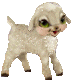 sheep002.gif