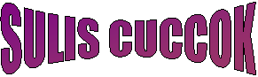 SULIS CUCCOK