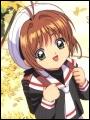 Card Captor Sakura(10 k�p)