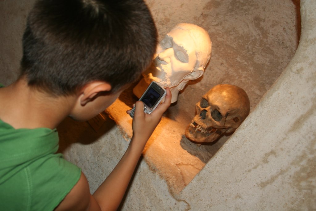 Photograph