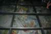 Photo Number 8