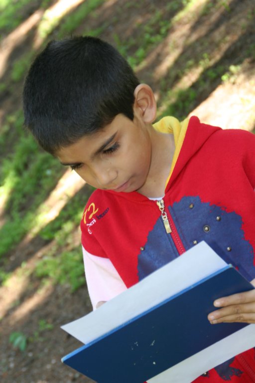Photograph