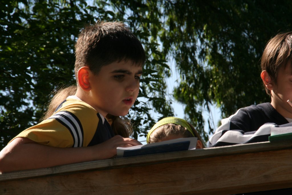 Photograph