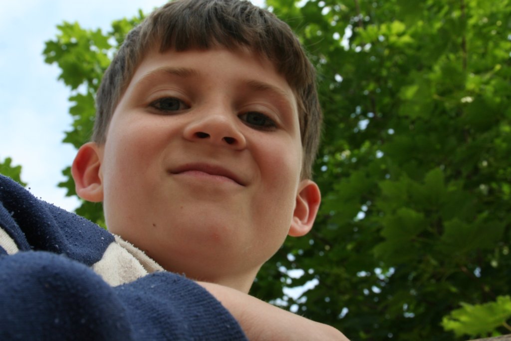 Photograph