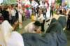 kp035_small.jpg