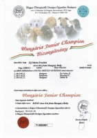 Hungria Junior Champion