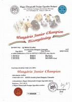 Hungria Junior Champion